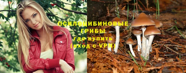 дживик Баксан