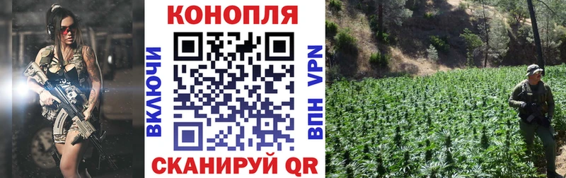 Купить  Луза  Бошки марихуана планчик 